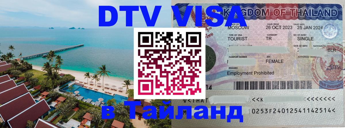 Сколько стоит DTV виза — актуальные цены, оформление даже без документов - 19.11.2025 